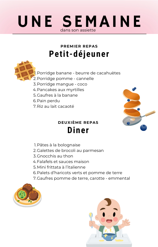 Ebook : Recettes spéciales baby et pour toute la famille aussi ! (recettes adaptables)